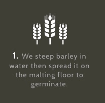 We steep barley in water then spread it on the malting floor to germinate.