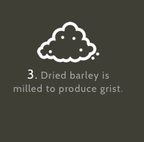 Dried barley s milled to produce grist.