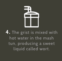 The grist is mixed with hot water in the mash tun, producting a sweet liquid called wort.